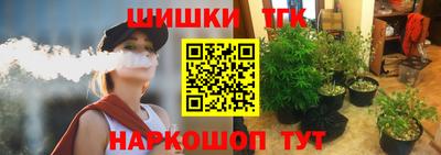 индика Татарск