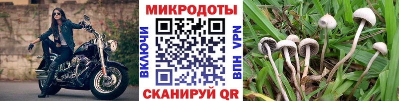 Галлюциногенные грибы GOLDEN TEACHER  Фрязино 