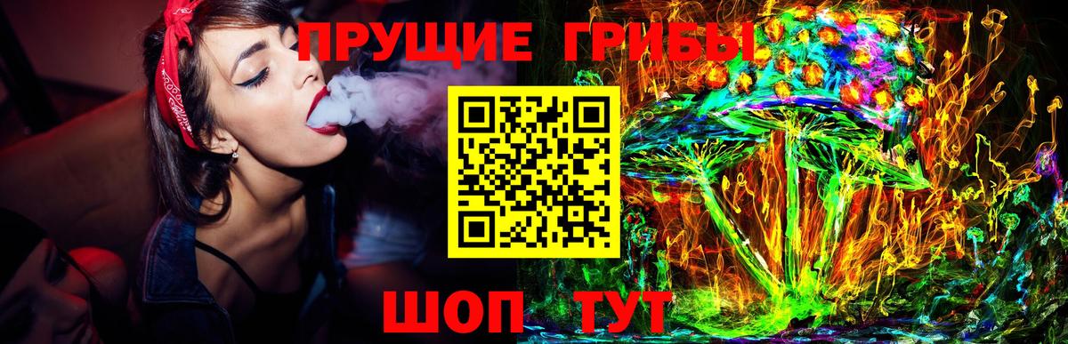 Галлюциногенные грибы Cubensis Фрязино