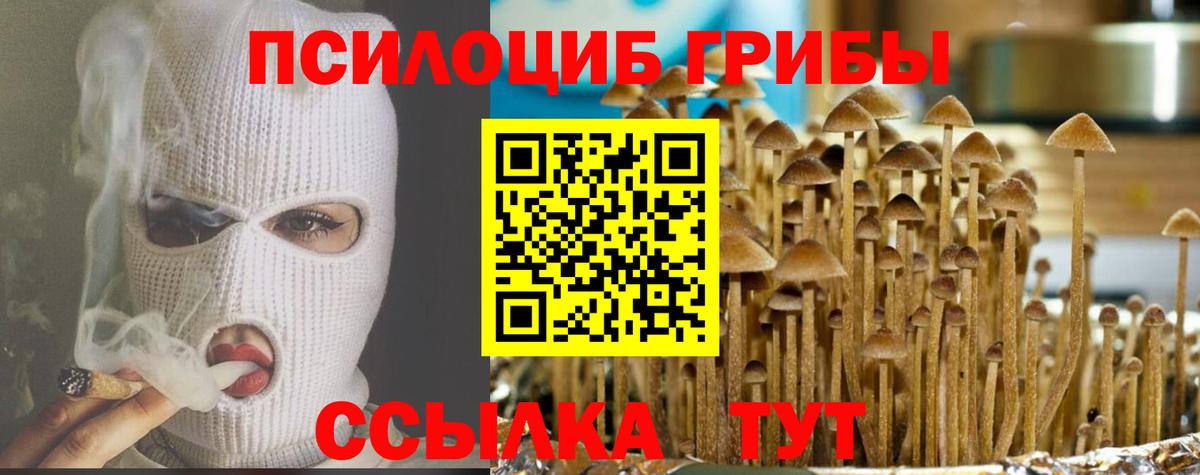 Фрязино  Псилоцибиновые грибы прущие грибы  Вход с VPN 