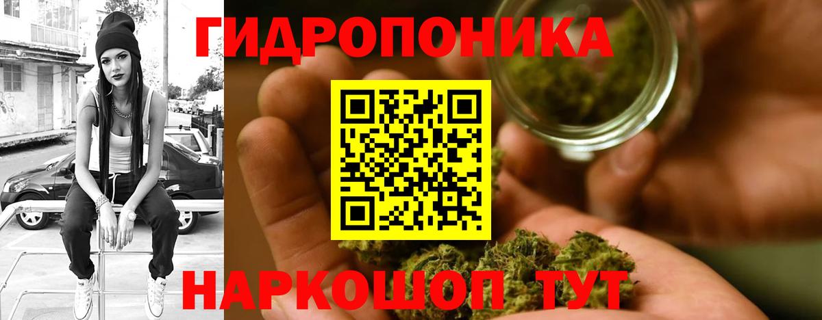 Шишки марихуана конопля  Канабис семена  Вход с VPN  Фрязино 
